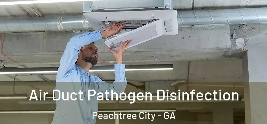  Air Duct Pathogen Disinfection Peachtree City - GA