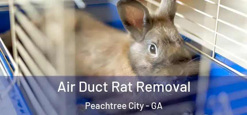  Air Duct Rat Removal Peachtree City - GA