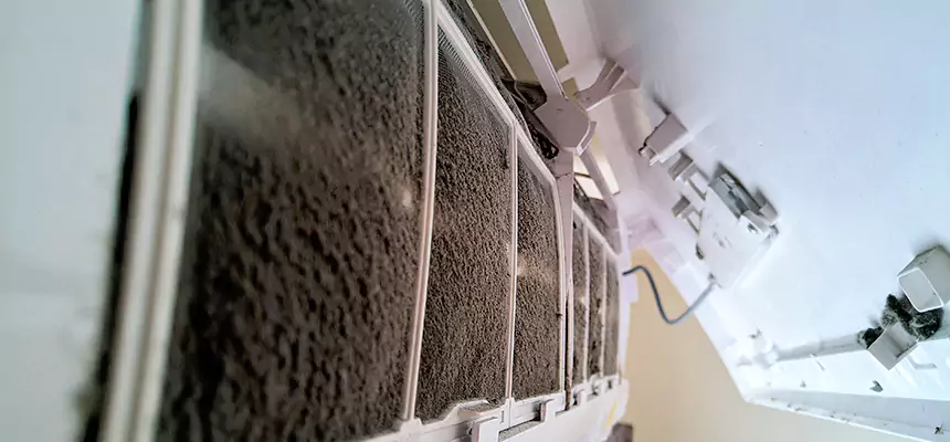 Preventive Air Duct Bacteria Removal in Peachtree City