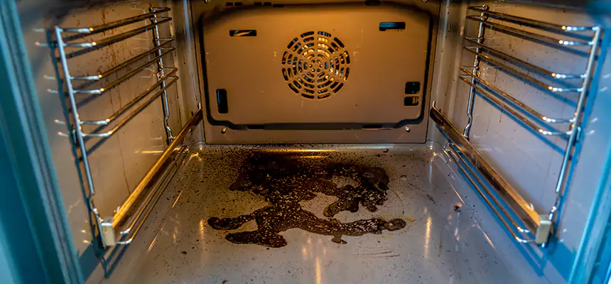 Our Dryer Vent Mold Cleaning Services in Peachtree City, GA