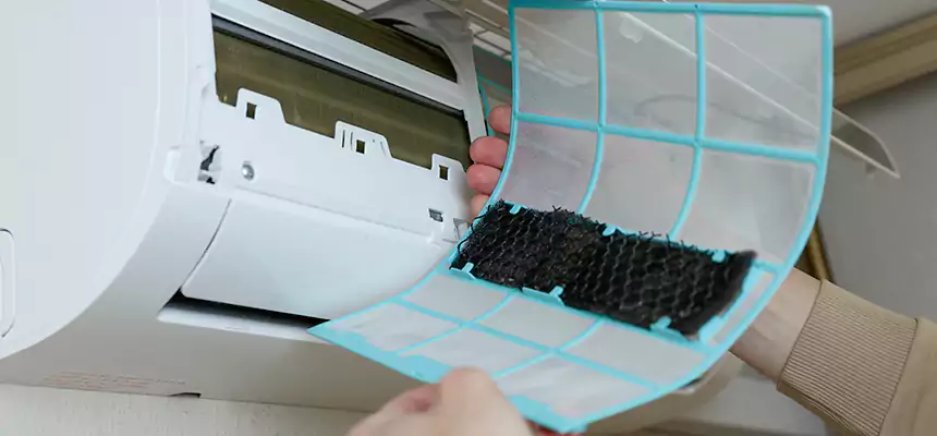 Gentle Ductwork Odor-Control Pet Dander Duct Cleaning in Peachtree City, GA