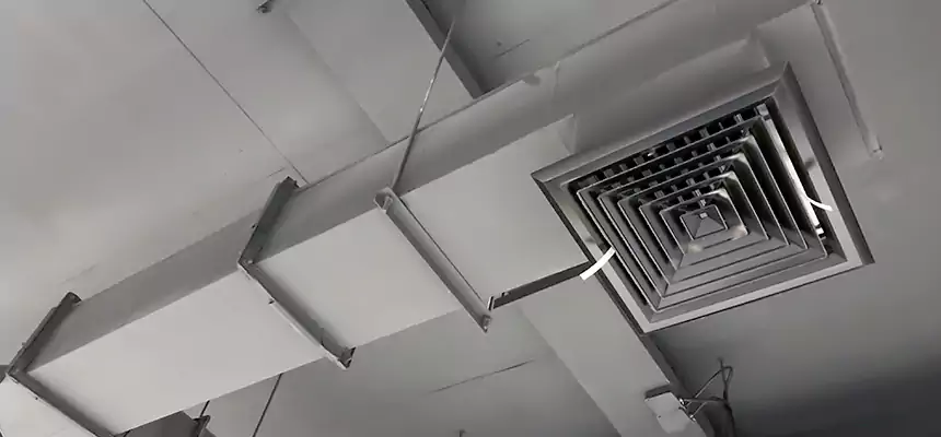 Our Rodent Droppings In Vents Services in Peachtree City, GA