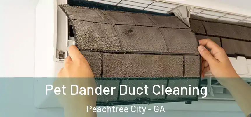  Pet Dander Duct Cleaning Peachtree City - GA