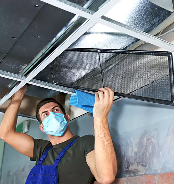 Professional Air Duct Pollen Cleaning in Peachtree City, GA