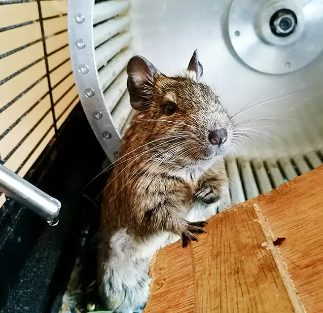 Why Homeowners & Businesses Trust Us Peachtree City, GA?