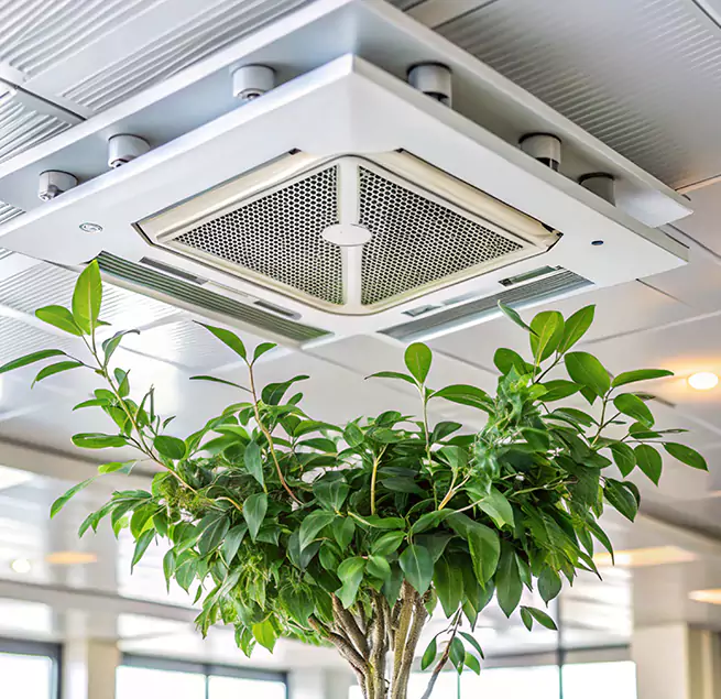 Why Homeowners & Businesses Trust Us in Peachtree City, GA?